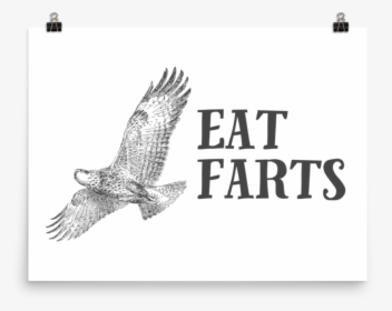 Eat Farts"  Srcset="data - Effin Birds Eat Farts, HD Png Download, Free Download